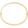 B6070017_4